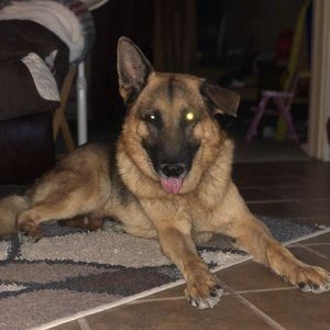 Meet your Posher, Wesley